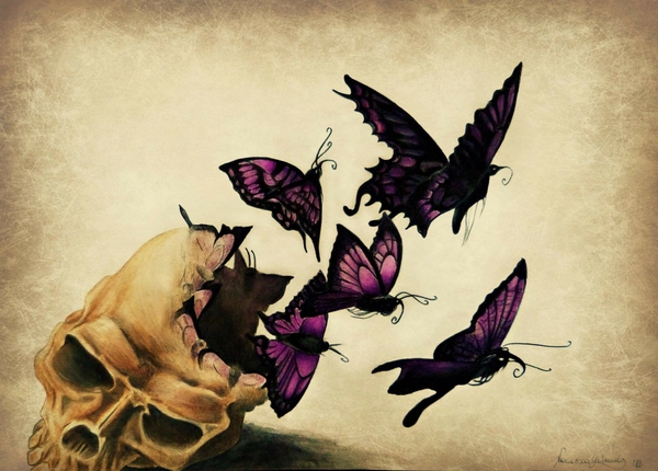 Art Butterflies Wallpaper