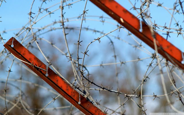 Barbed Wire Fence Wallpaper Walltor