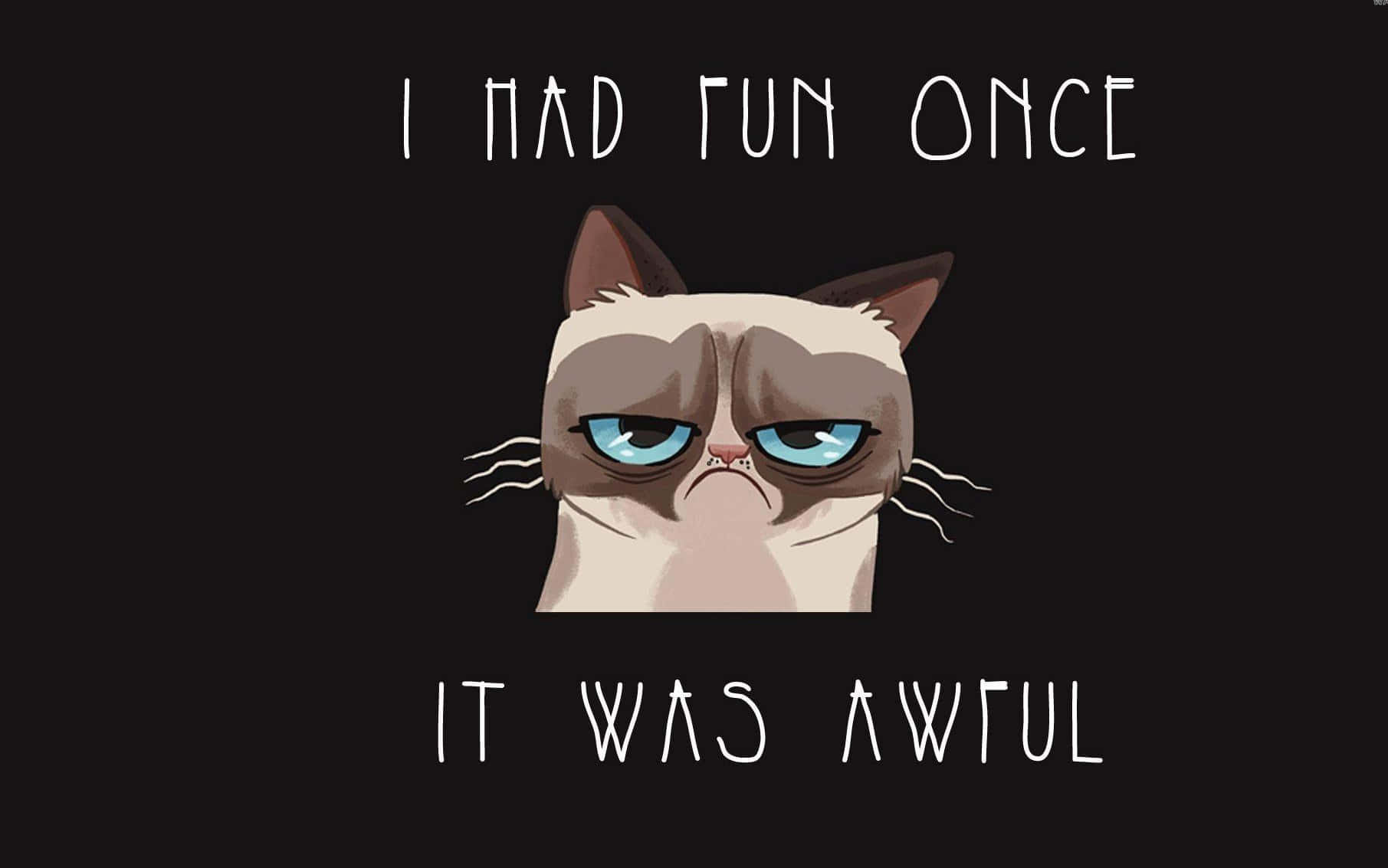 Meme Desktop X Wallpaper