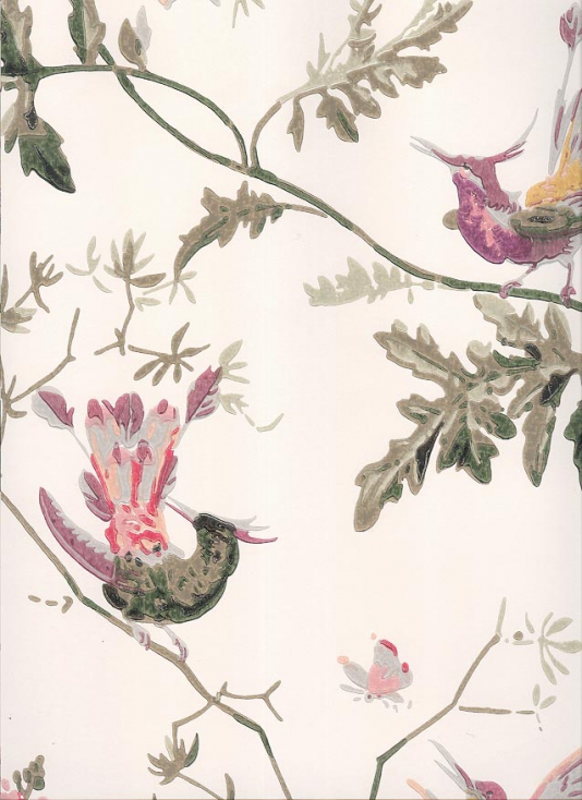 Cole And Son Hummingbirds On Branches Cream Wallpaper