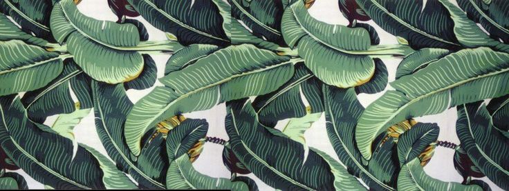 Original Classic Martinique Banana Leaf Wallpaper Patterns 797300 736x277