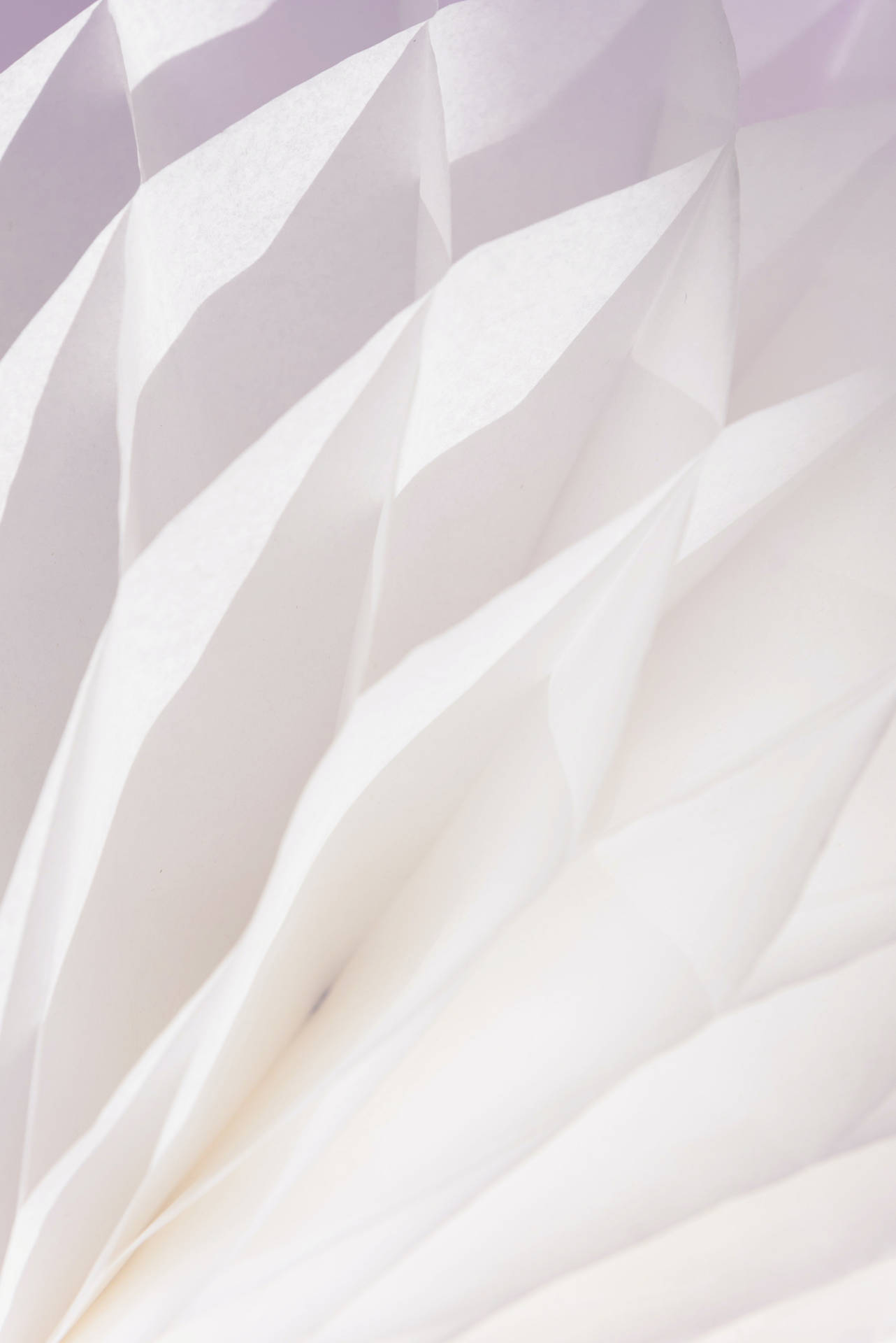 Pure White Wallpaper