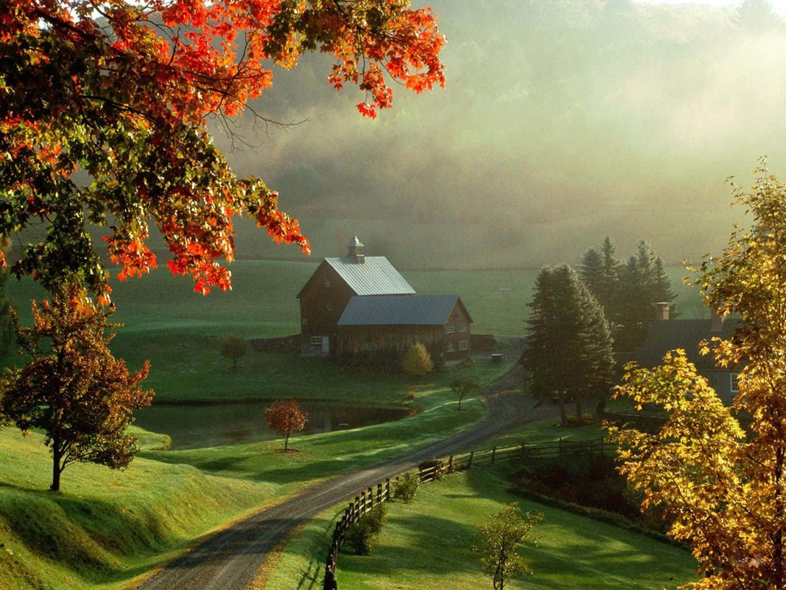 Beautiful Scenery Desktop Wallpaper