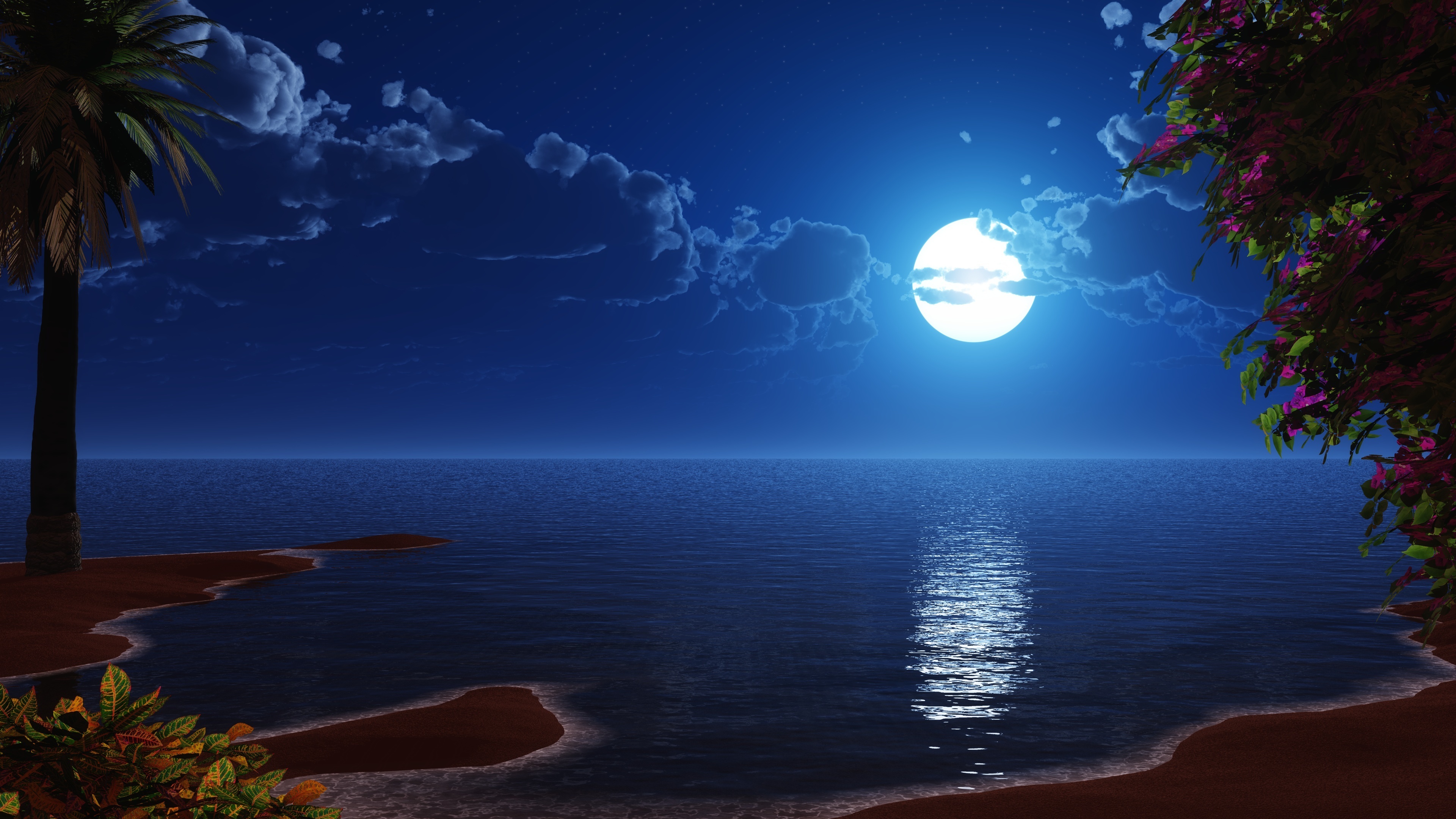 Wallpaper Tropical Beach Coast Full Moon Night