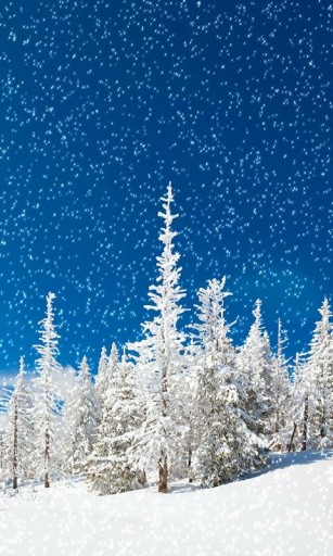 Snow Falling Live Wallpaper3 App For Android