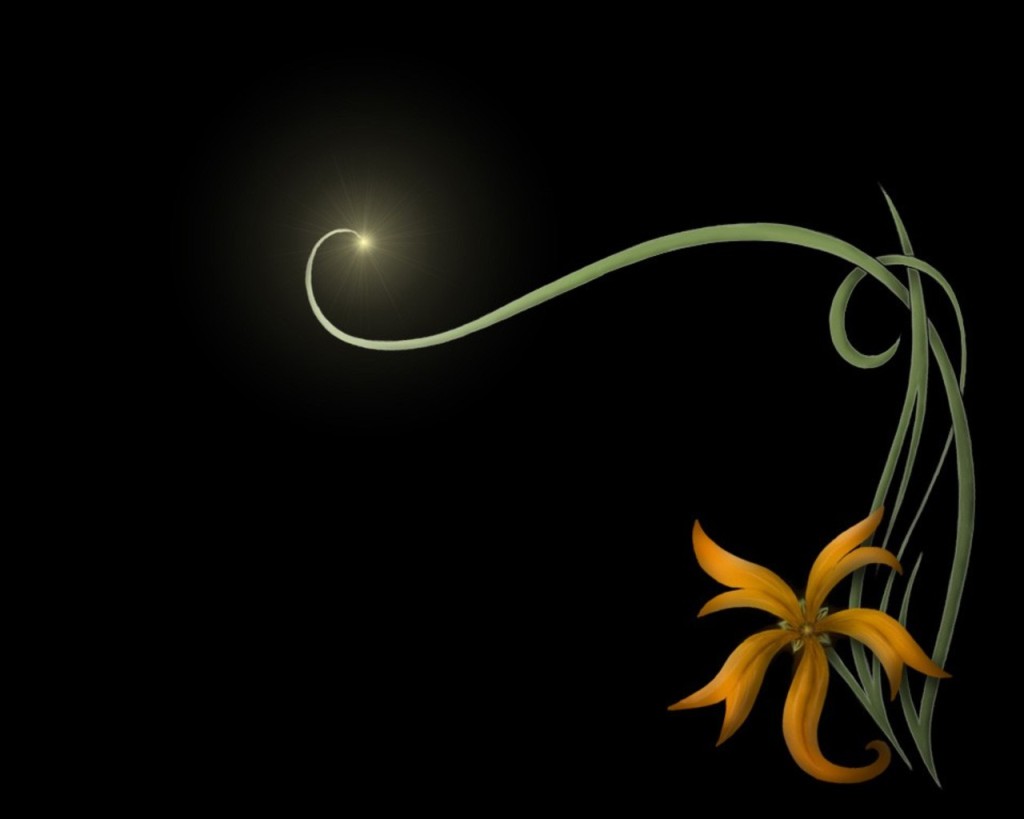 Black Background Yellow Flower And Moon HD Wallpaper