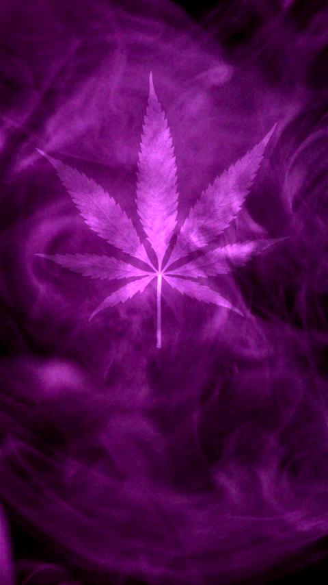 Encircled With Swirling Purple Smoke In Celebration Of The Cannabis