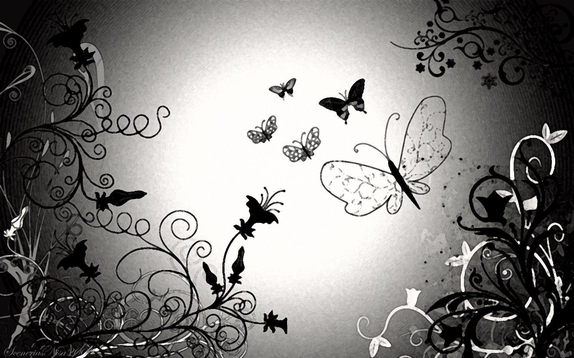 Black Butterfly Background Image