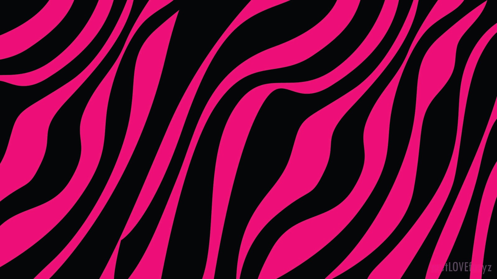 Pink Zebra Wallpaper HD