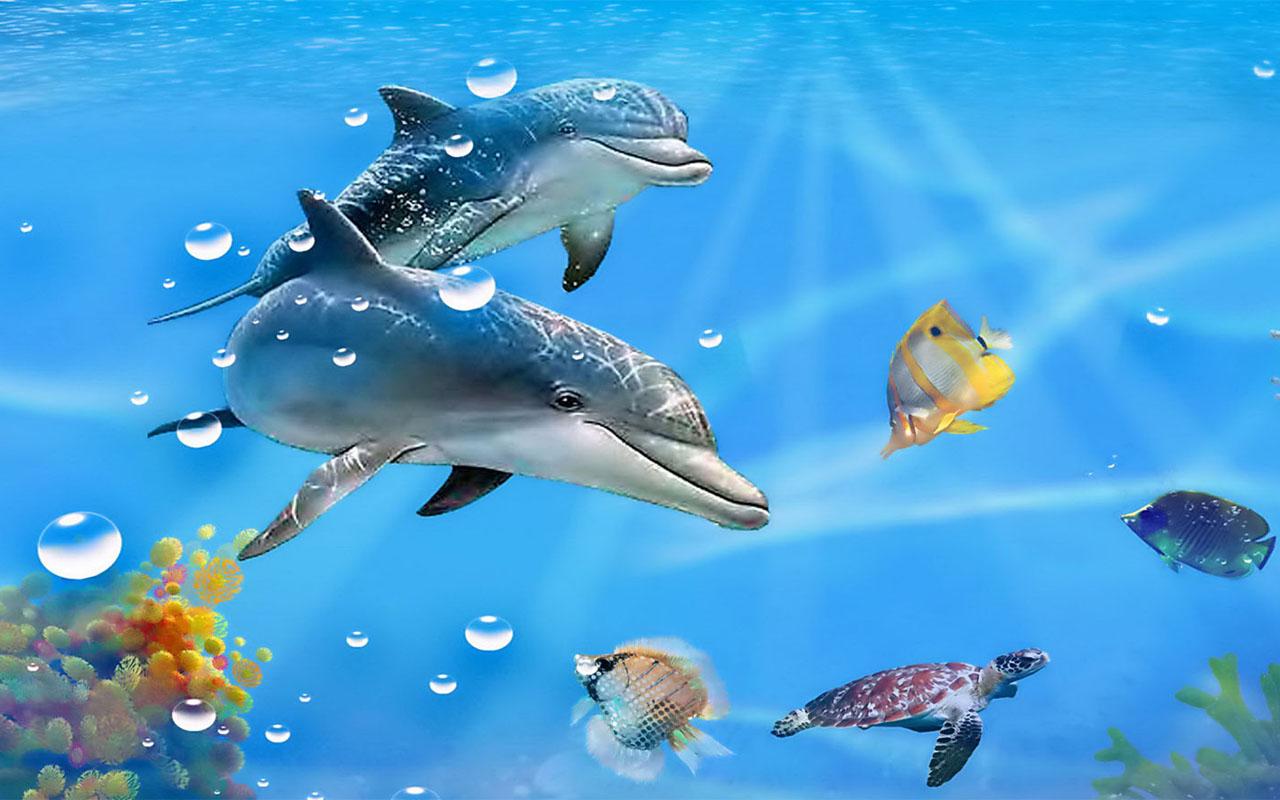 DOLPHIN IN THE SUN - christian riese Wall Mural | Buy online at Europosters