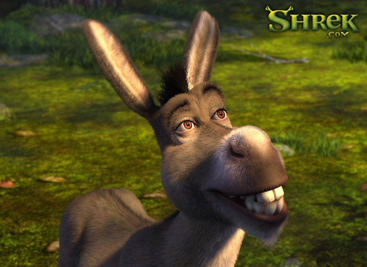 Donkey Wallpaper