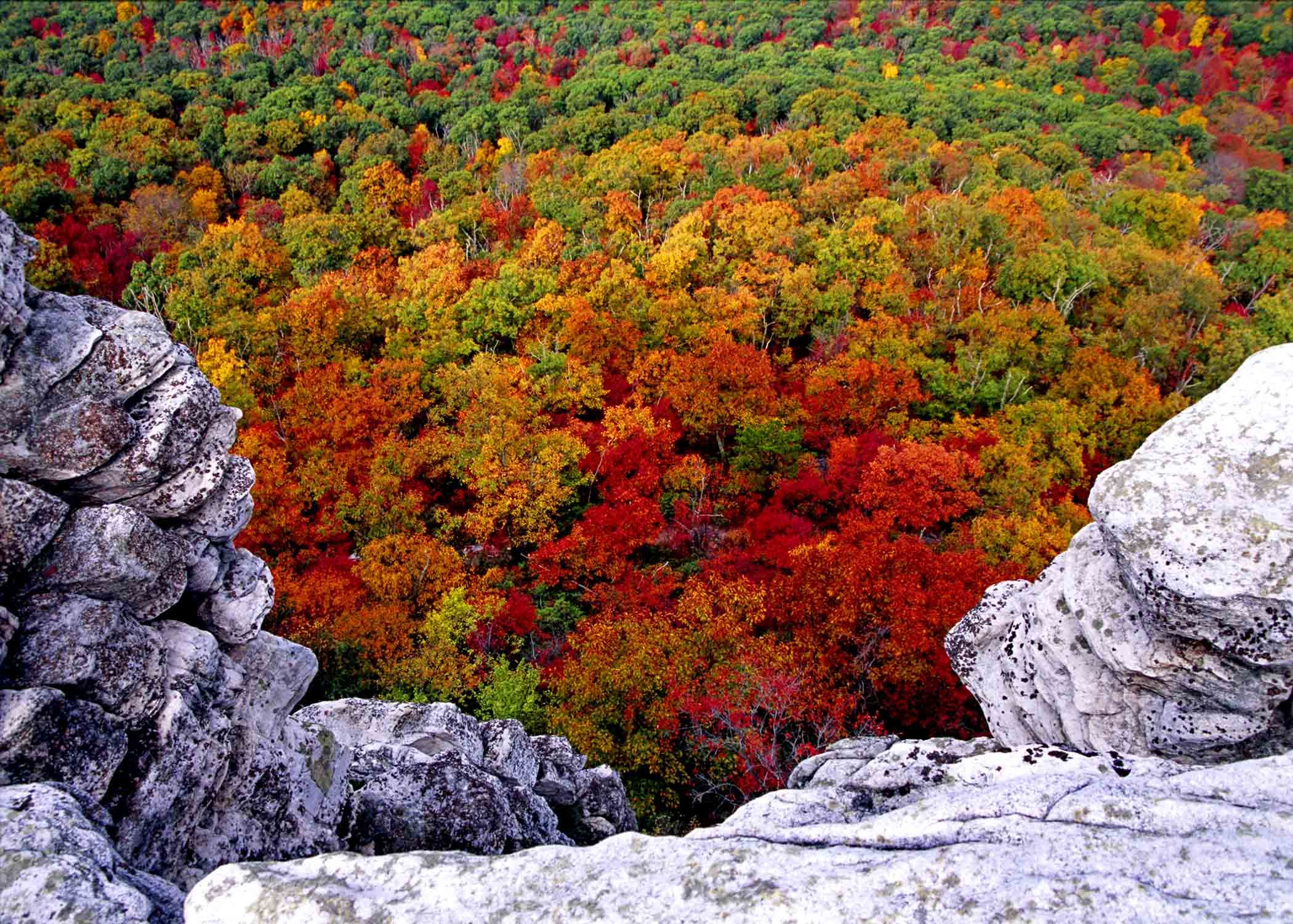 Rocks Trees West Virginia Desktop Wallpaper Background