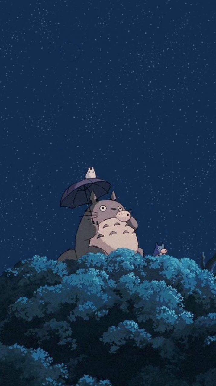Totoro Wallpaper Totoro Totoro art Beautiful landscape wallpaper