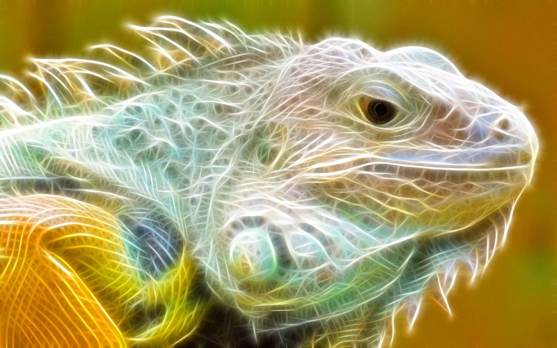 Iguana Light Animal Wallpaper HD