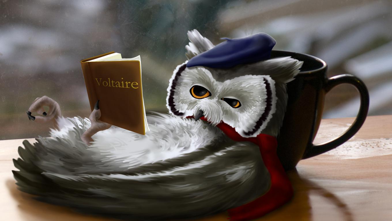 Wallpaper Jokes Funny Fantasy Reading Owl HD Pictures