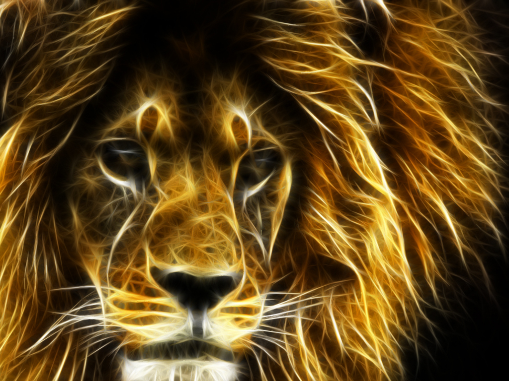 Nice 3d Lion Wallpaper