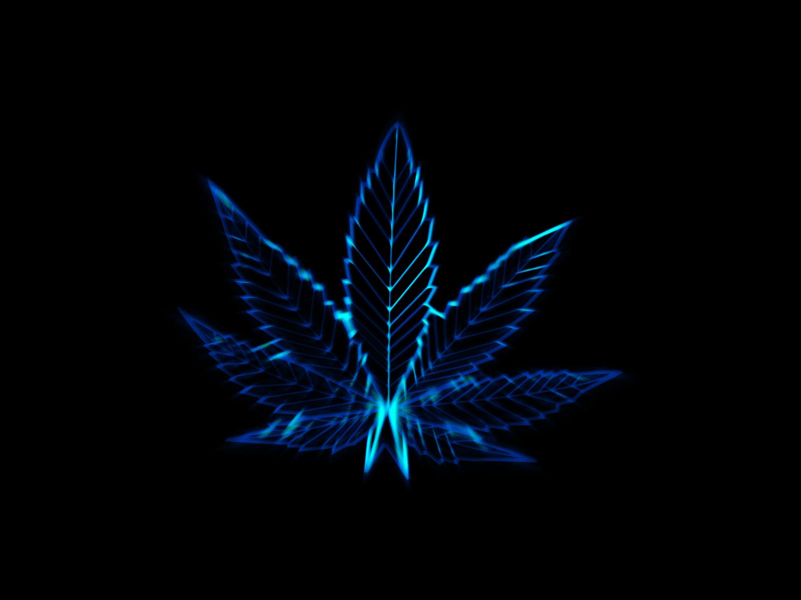 Marijuana Leaf Wallpaper