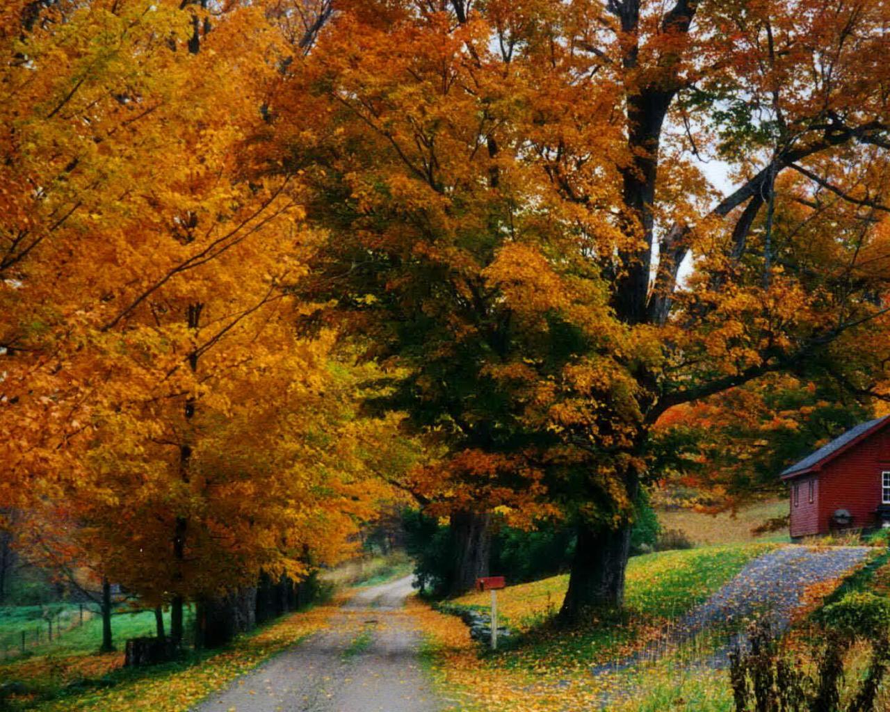 Autumn Cottage Wallpaper Hq Desktop