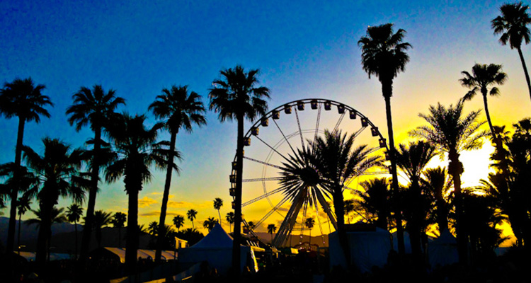 Coachella Predictions Best HD Wallpaper