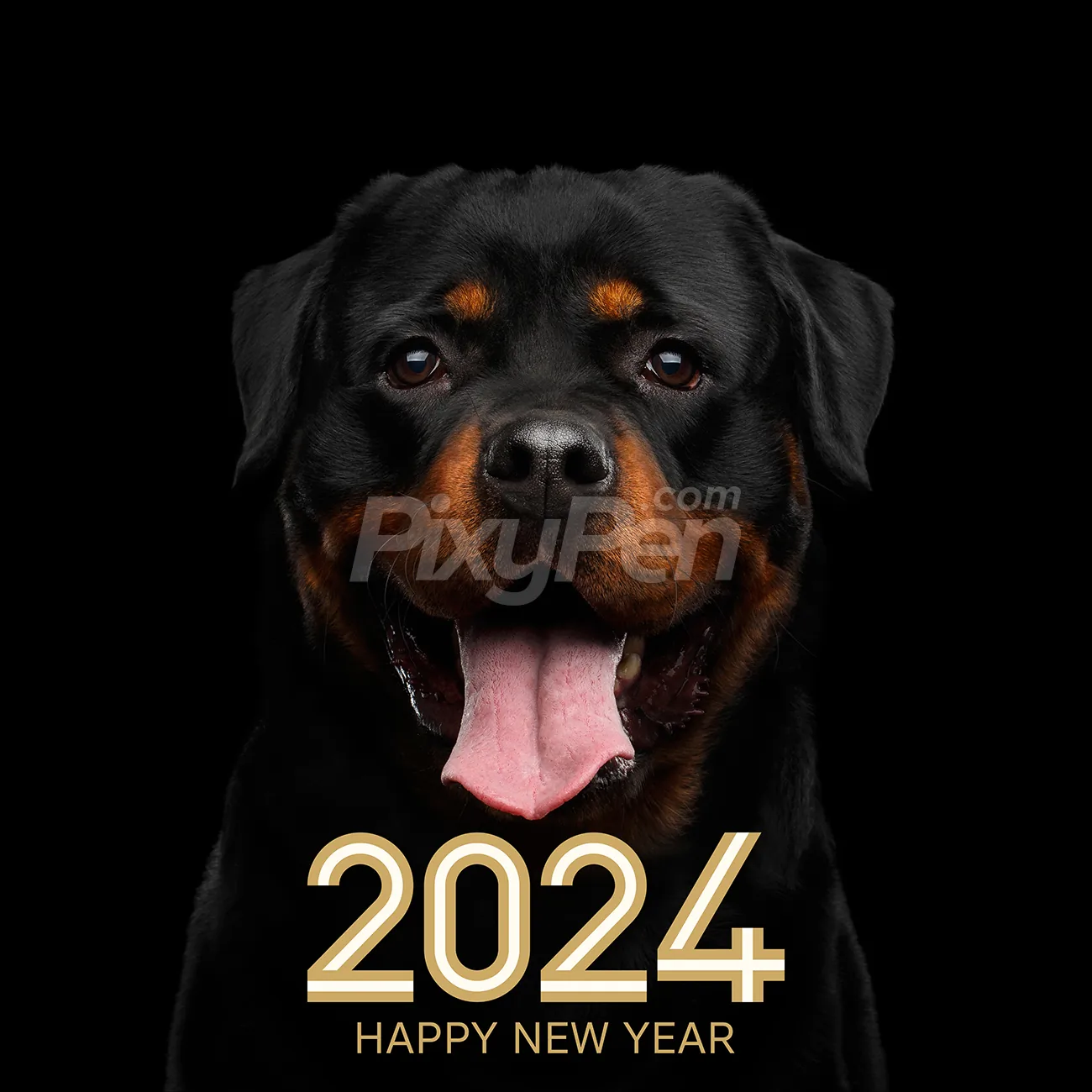 🔥 Free download Happy New Year Rottweiler Dog Image PixyPen [1300x1300