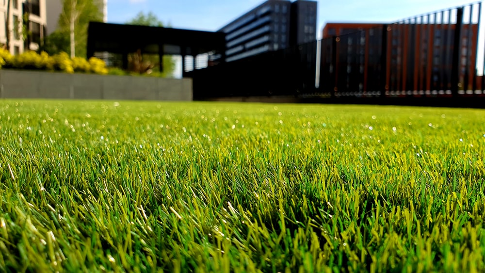 Grass Background Image HD Background