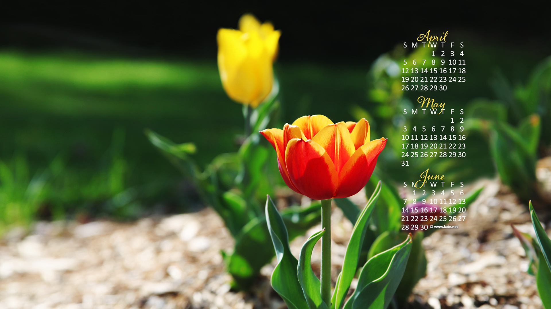 Calendar Wallpaper Desktop By Kate