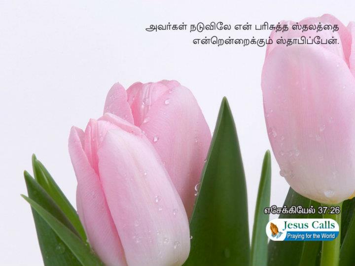Pin by Charles MSK India on Bible Verse  Tamil bible words Message bible  Bible words
