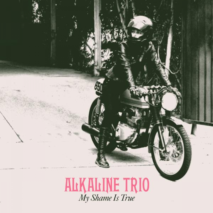 Re Alkaline Trio My Shame Is True Open Bar Reception