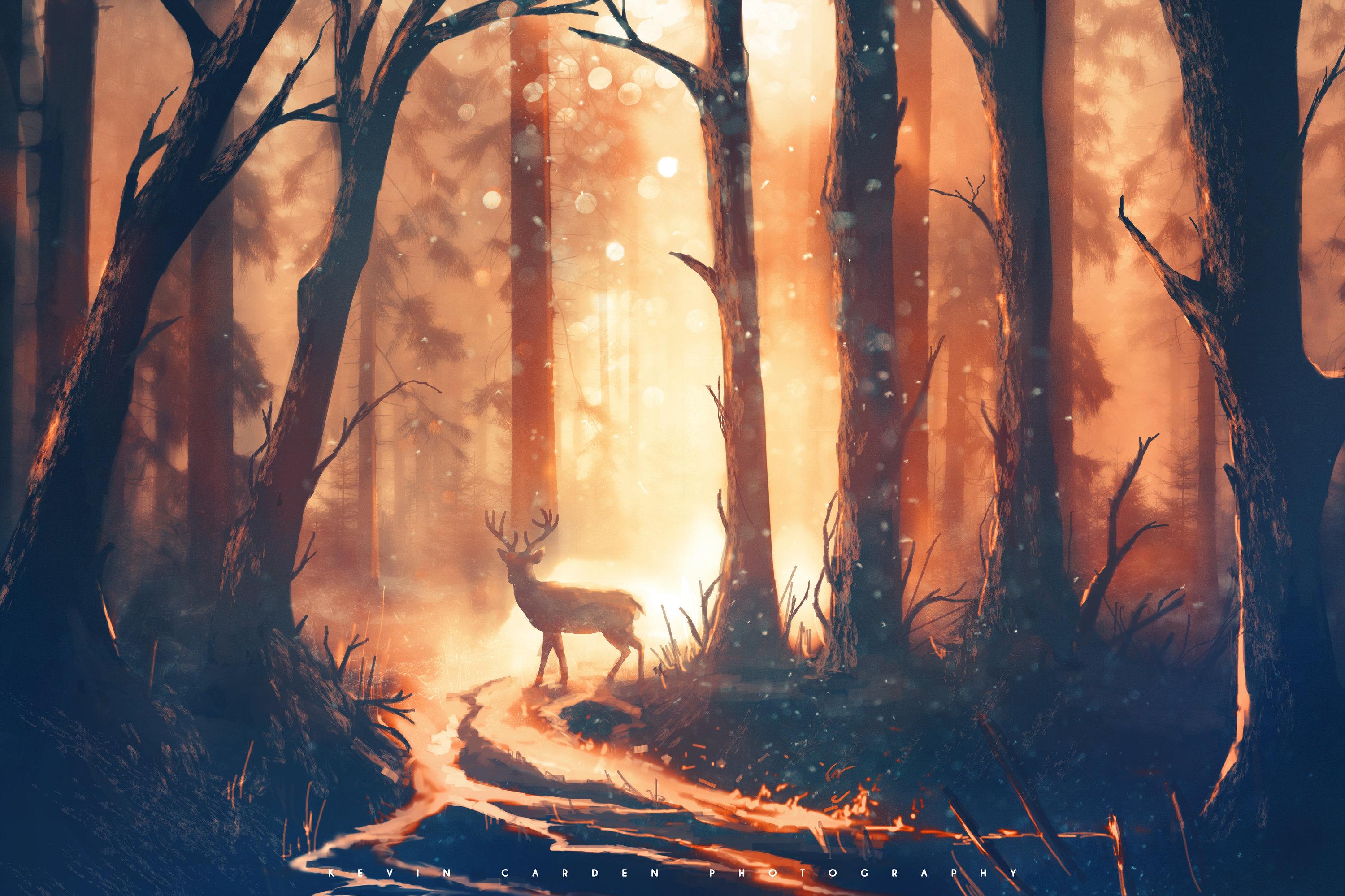 Deer Forest Sunbeams HD Artist 4k Wallpaper Image