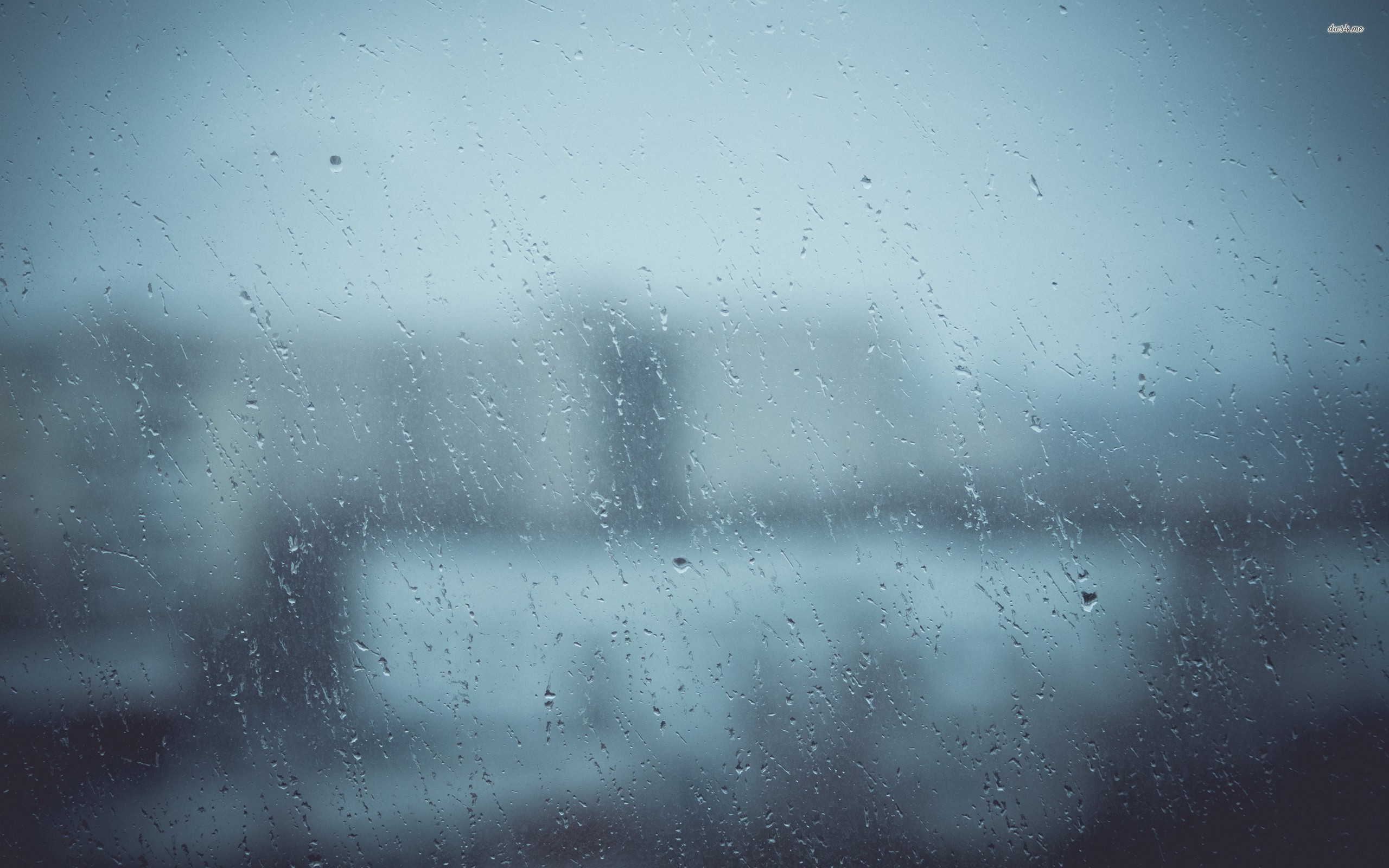 Rainy Window Wallpaper Photography