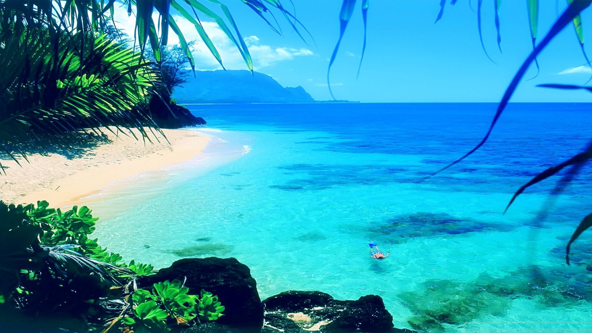 A vibrant tropical beach scene with crystal-clear turquoise water, white sand, and lush green foliage. A person is snorkeling in the calm waters, enjoying the summer paradise