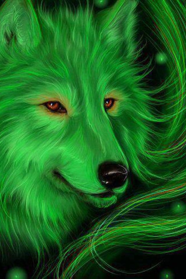 Wolf Photos Picture Beautiful Wolves Animals Wallpaper
