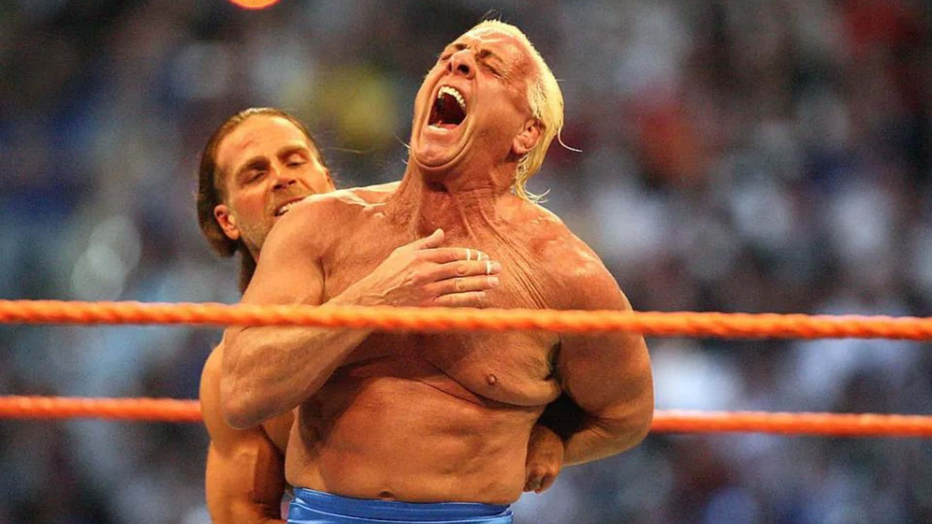 Ric Flair Picture Wallpaper