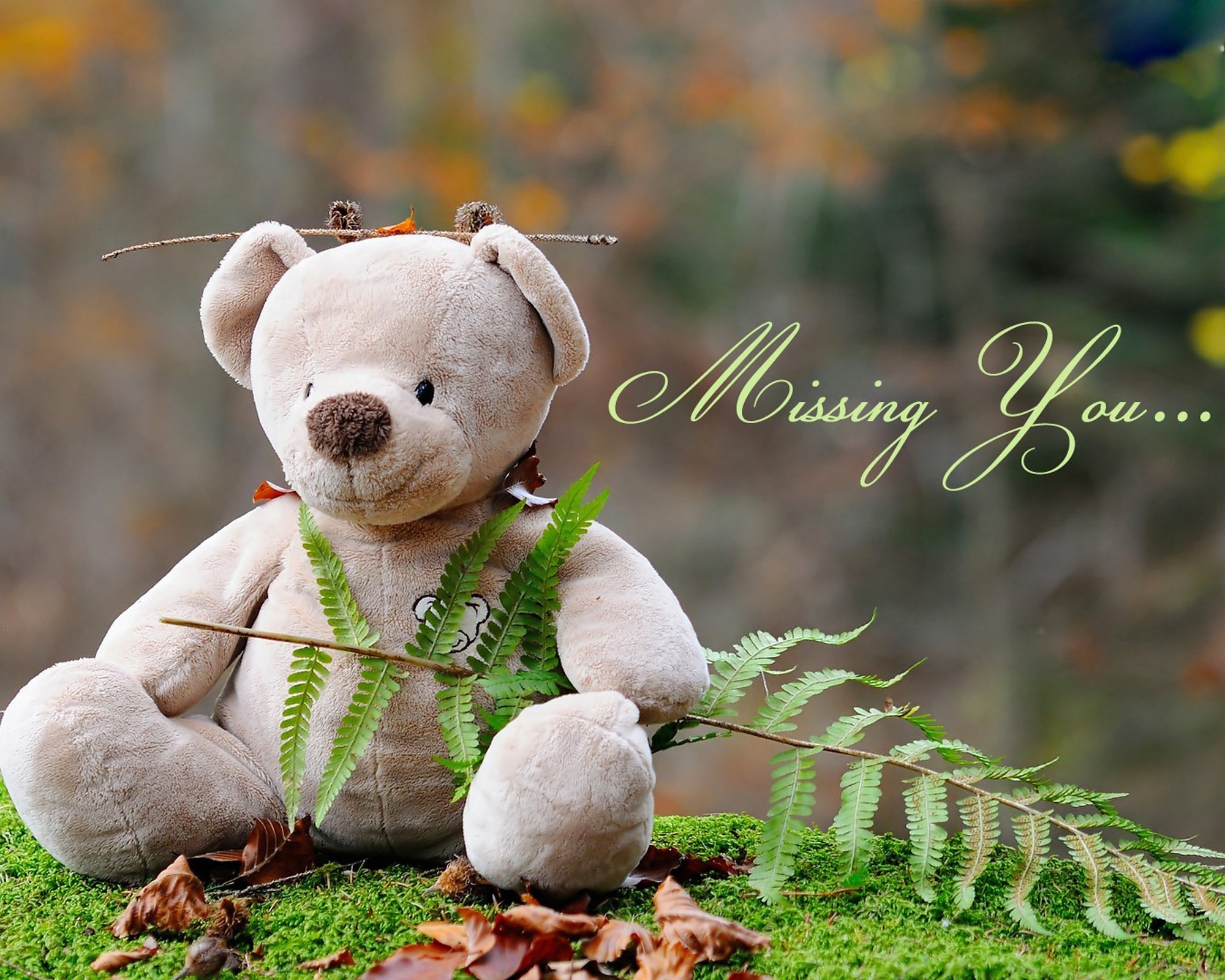 Cute Teddy Bears Wallpaper
