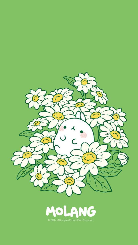 Molang Flower Wallpapers Discover The Daisy Wallpaper of Molang