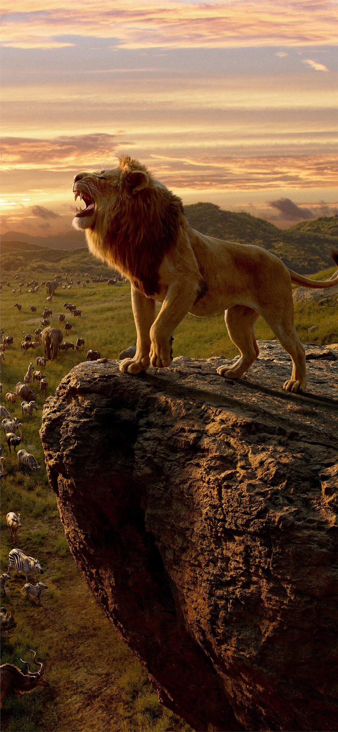 Lion King Wallpaper 4k