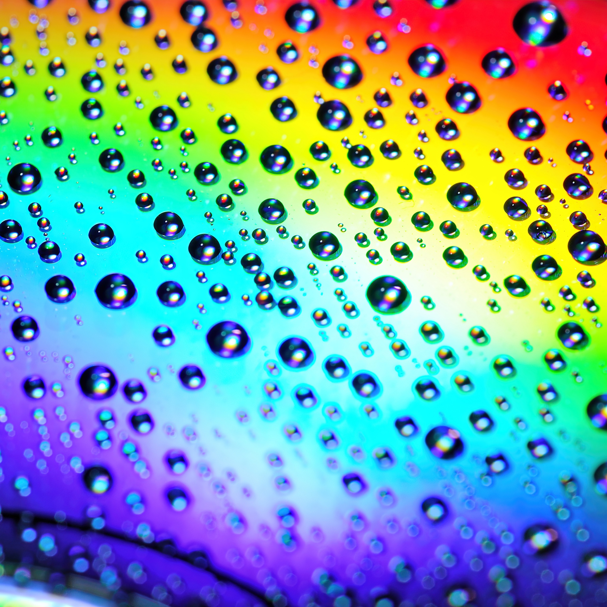 Water Droplets Wallpaper 4k Rainbow Macro