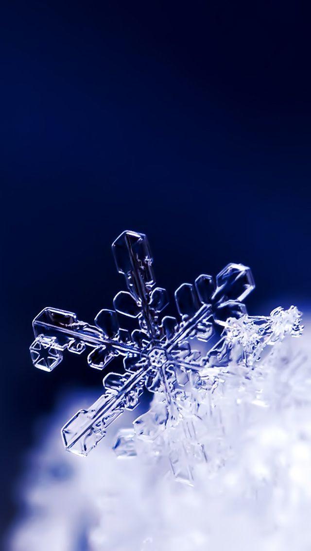 iPhone Wallpaper Snowflake Winter Fairy