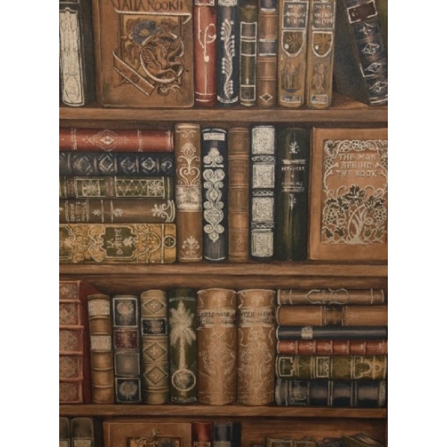 Norwall Library Bookcase Wallpaper All Walls
