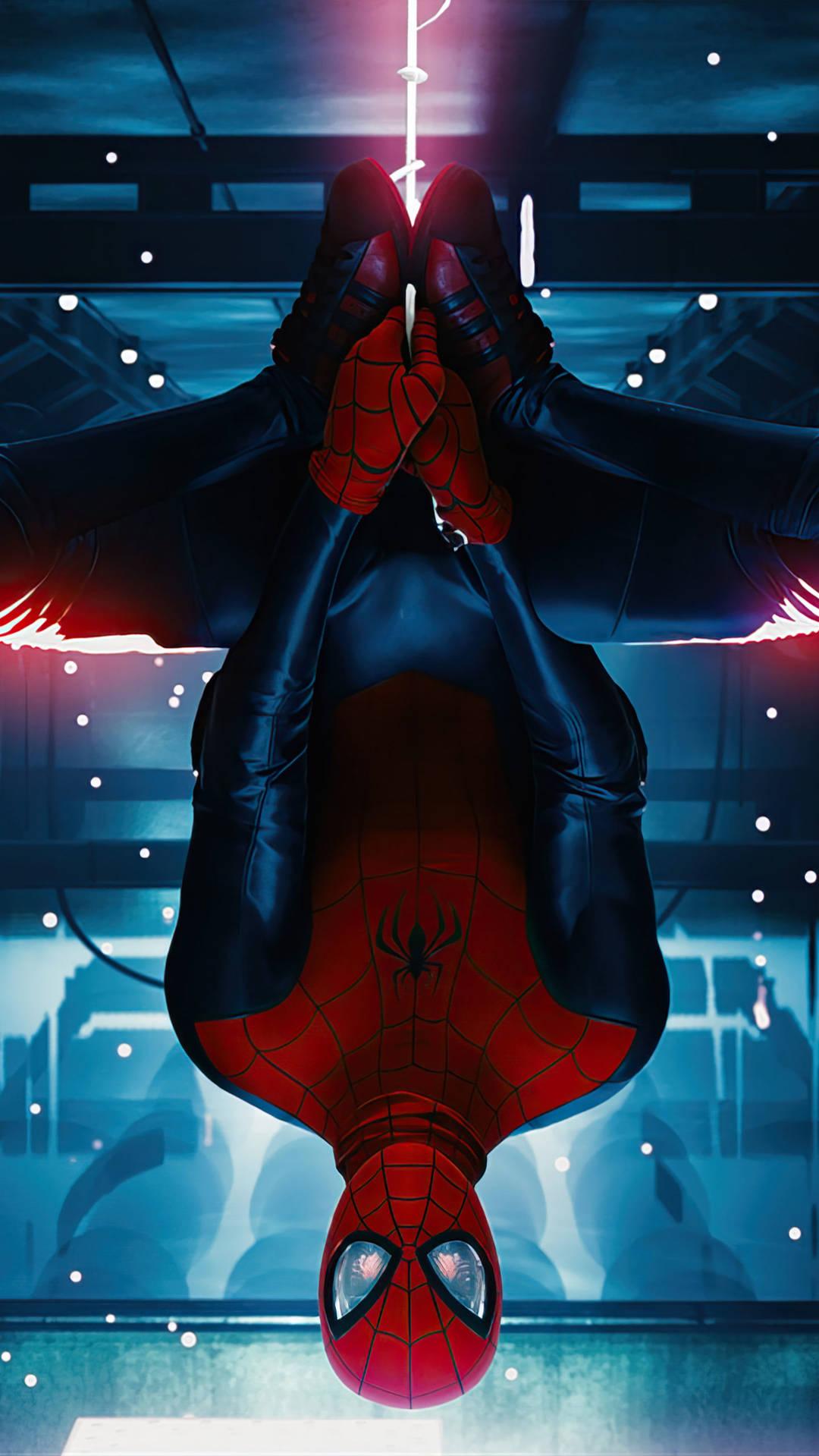 Spider Man Upside Down Mobile Wallpaper