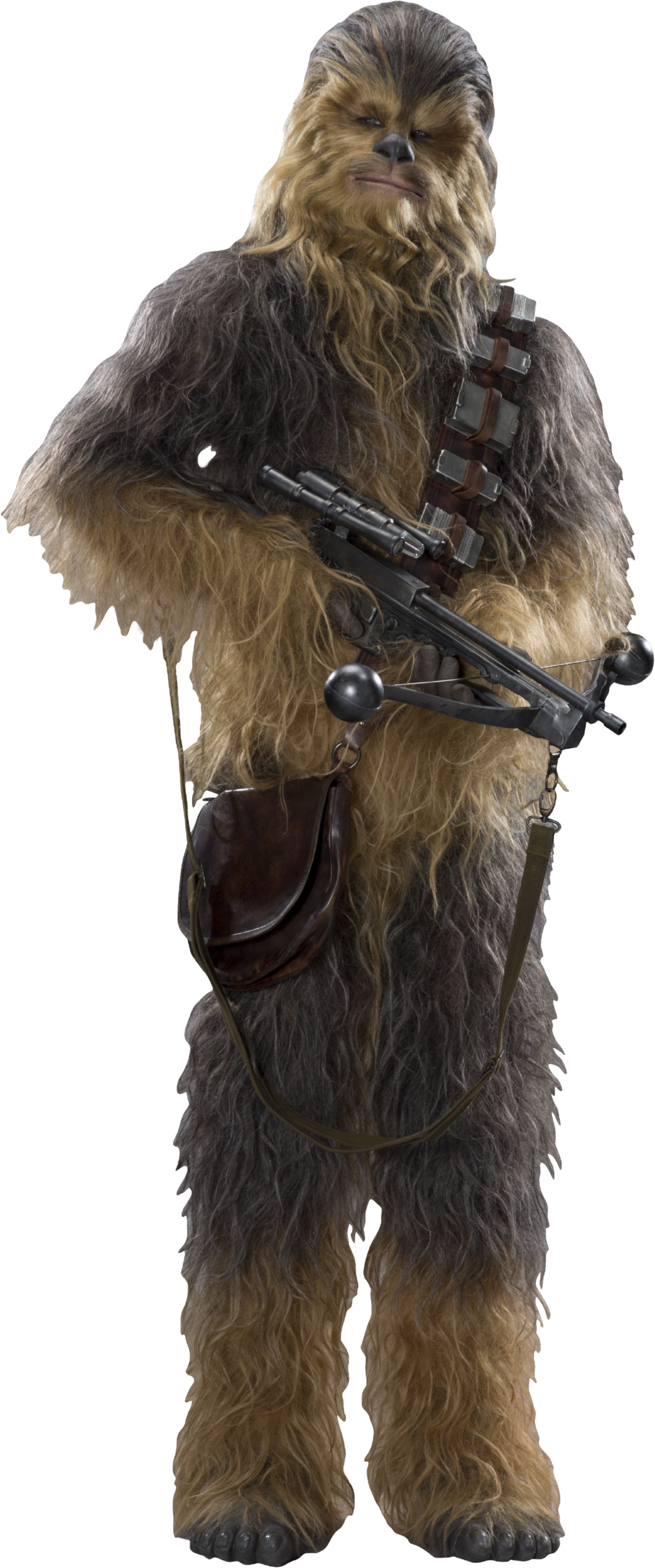 Best Chewbacca Background