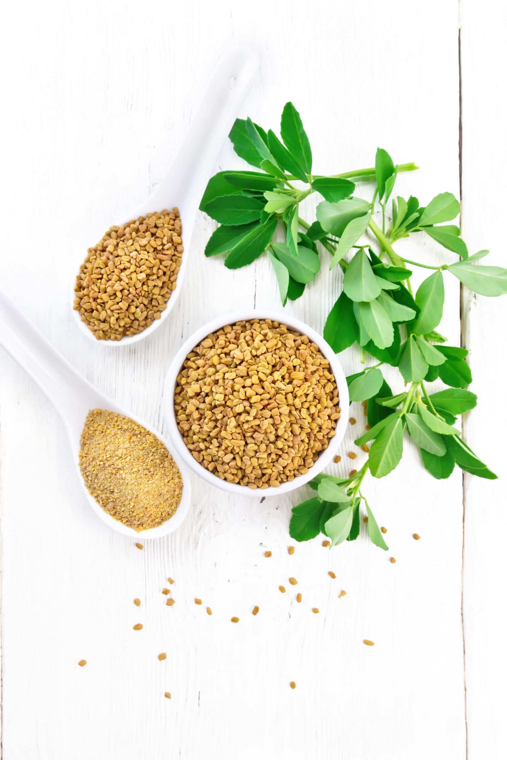 Fenugreek Wallpaper