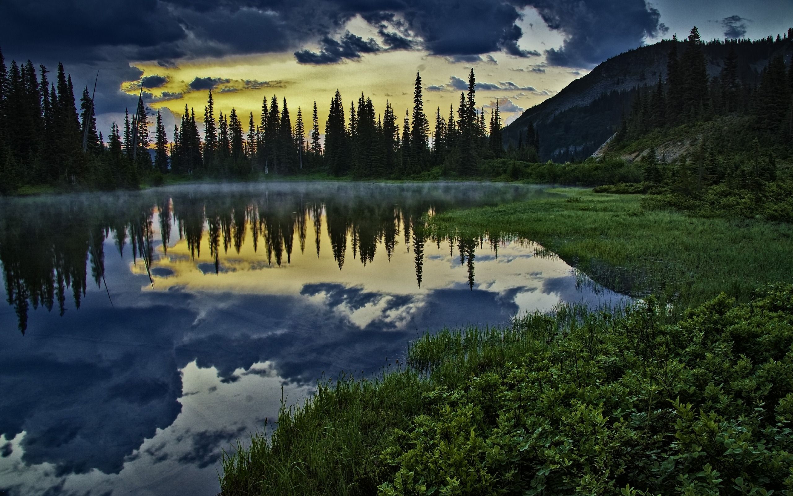 Forest Lake Wallpaper