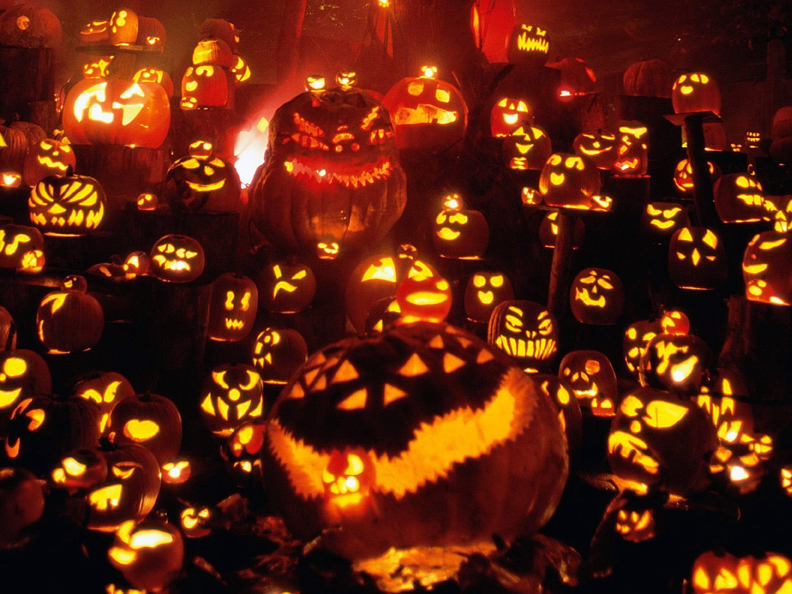 Jack O Lantern 3d Wallpaper Halloween Pumpkin