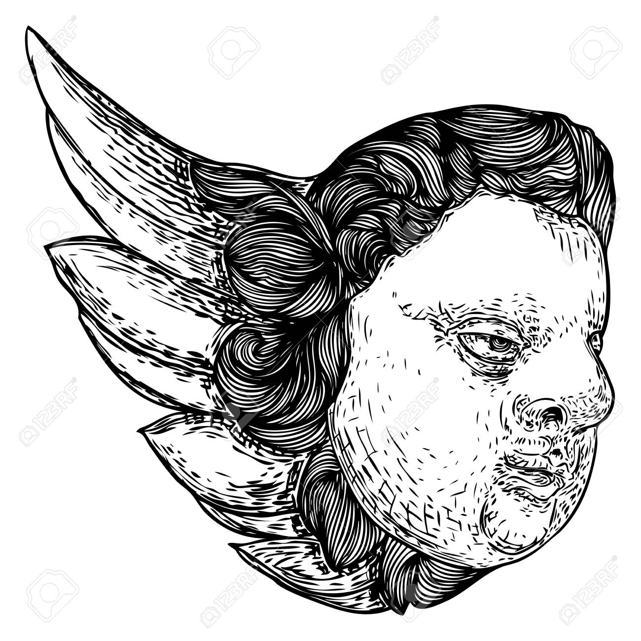Cherub With Wings Winged Baby Angel Isolated On White Background