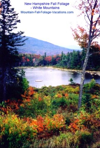New Hampshire Fall Foliage Colors October Kancamangus Hwy