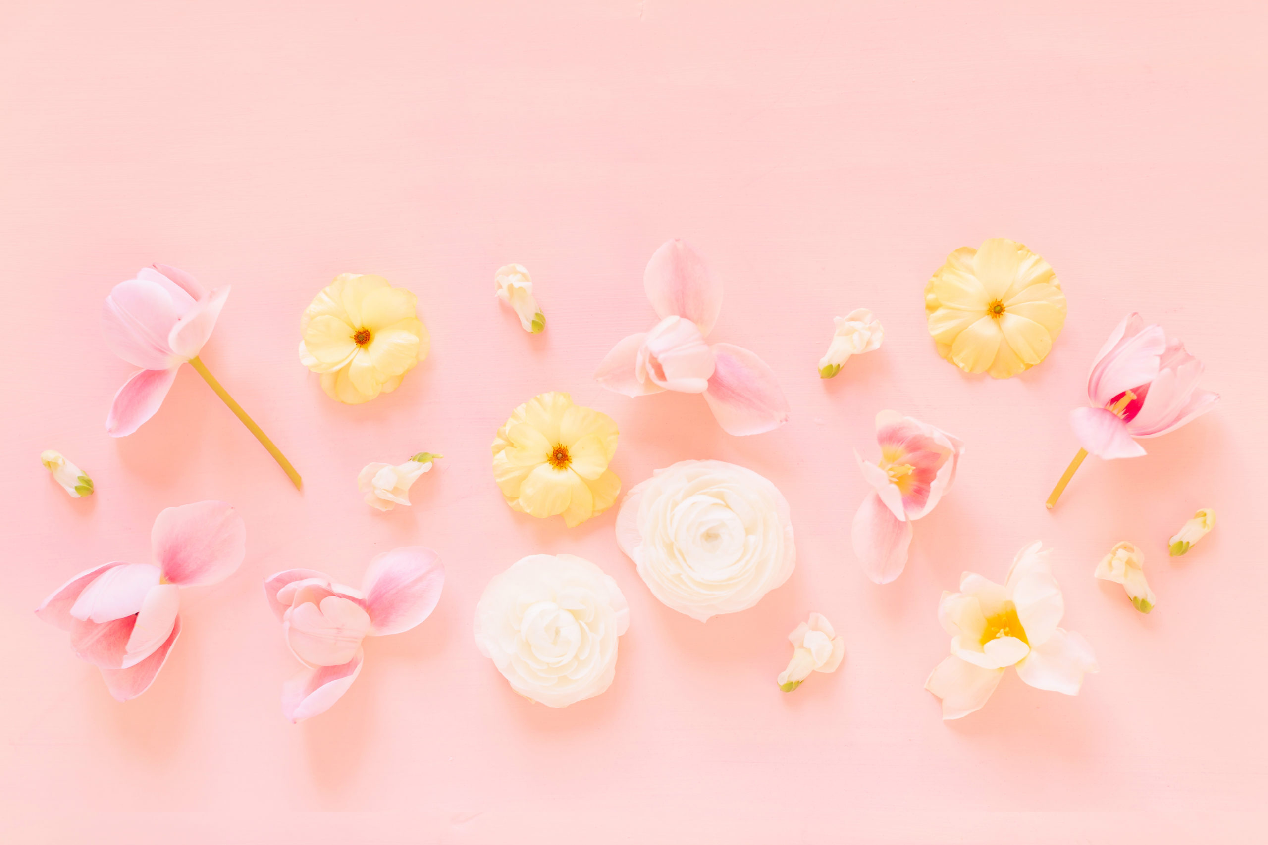 Digital Blooms May Desktop Wallpaper Justinecelina