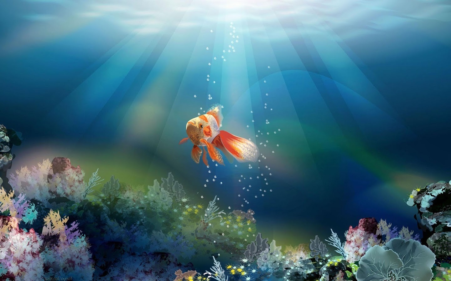 Goldfish Live Wallpaper Android Apps On Google Play