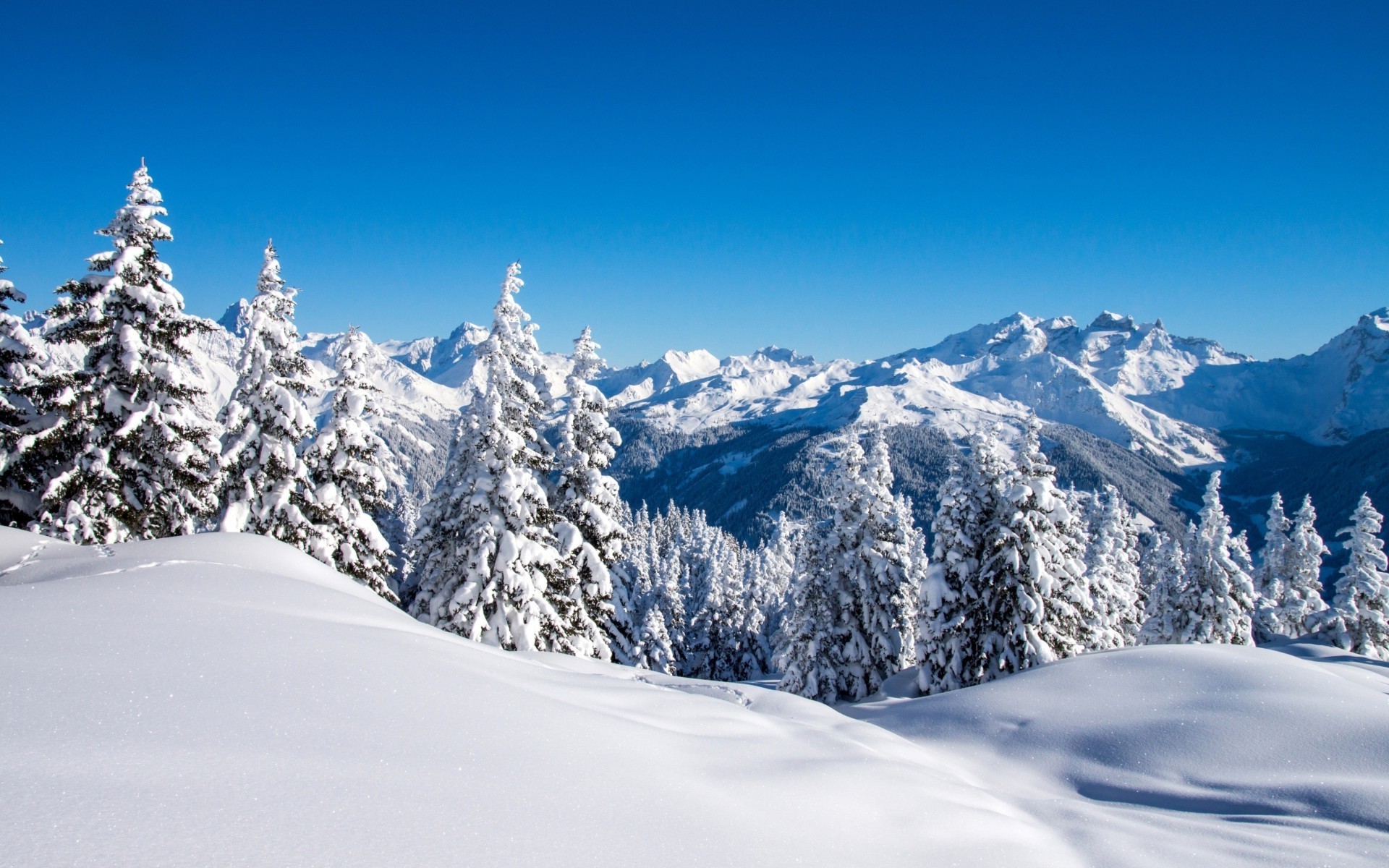 Landscape Mountain Snow Forest Wallpaper HD