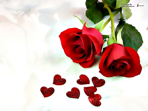 Most Beautiful Two Red Roses With Tiny Hearts Wallpaper